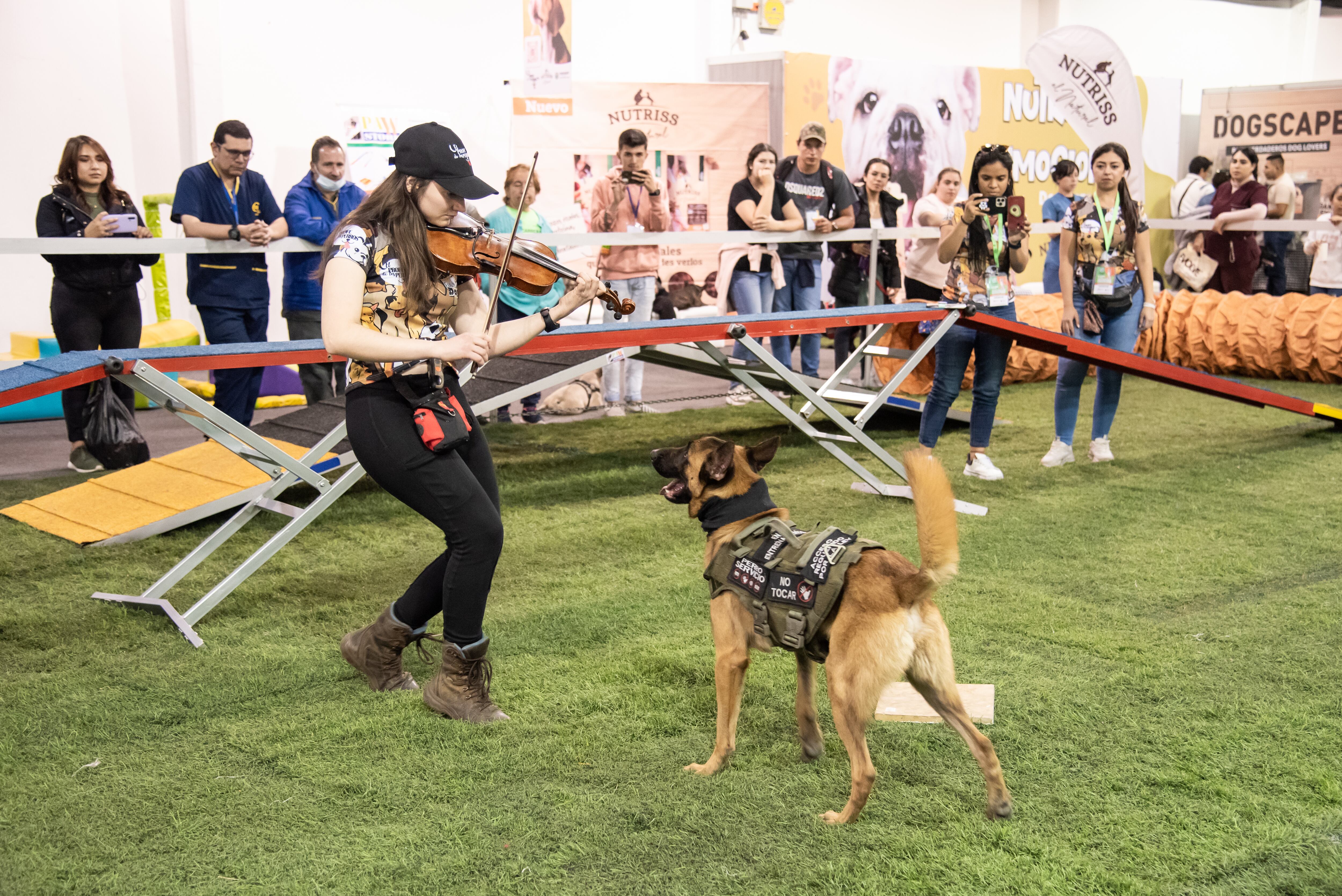 En el marco de Expopet se realizarán varios concursos.