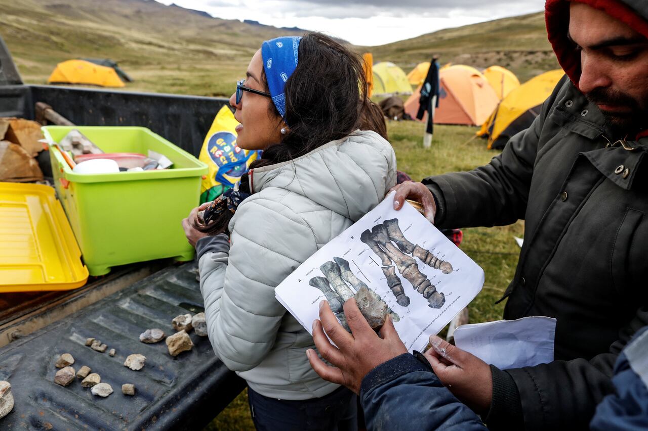 Paleontólogos trabajan en el lugar donde se encontraron los huesos fosilizados del 'Gonkoken nanoi', un dinosaurio pico de pato recientemente identificado, que habitó la zona patagónica chilena, en El valle del río de las Chinas, cerca de Torres del Paine, Magallanes y Antártica