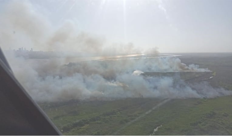 El incendio en el Vía Parque Isla de Salamanca fue controlado en su totalidad.