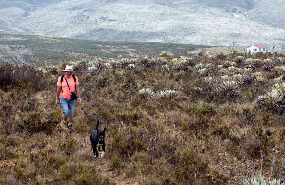 Gonzalo Sánchez, quien lidera el proyecto de la Casita Feliz. Foto: Luigi Saenz 	