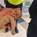 Reliquia del Niño Dios que había sido robada en Medellín y fue recuperada en Armenia, Quindío.