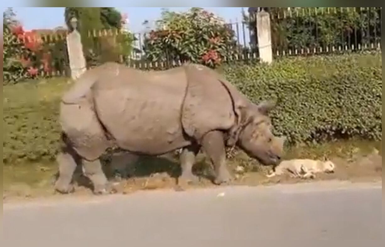 Twitter:@susantananda3 (API)