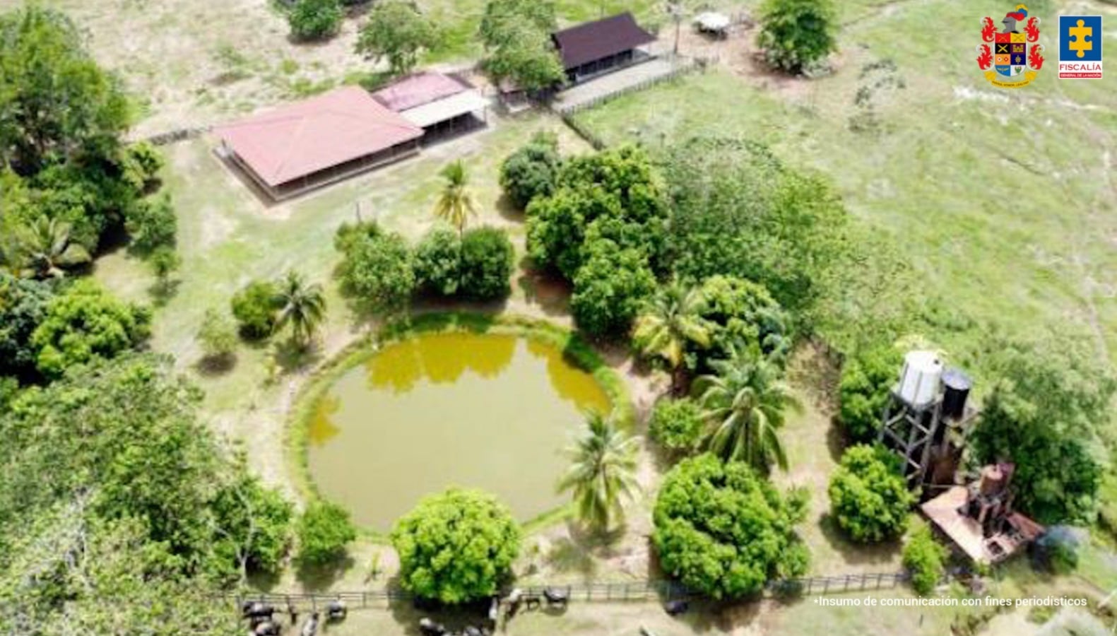 Fiscalía incautó bienes de las AUC en tres departamentos.