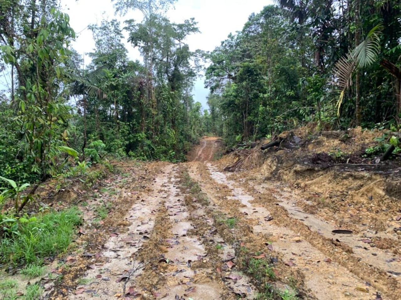 Esta vía de 5 kilómetros es uno de los más grandes anhelos de la comunidad desde hace aproximadamente 30 años