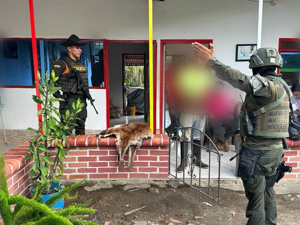 Los hombres fueron capturados  por supuestamente estar detrás de  la muerte de un Puma  Concolor en el Valle del Cauca.