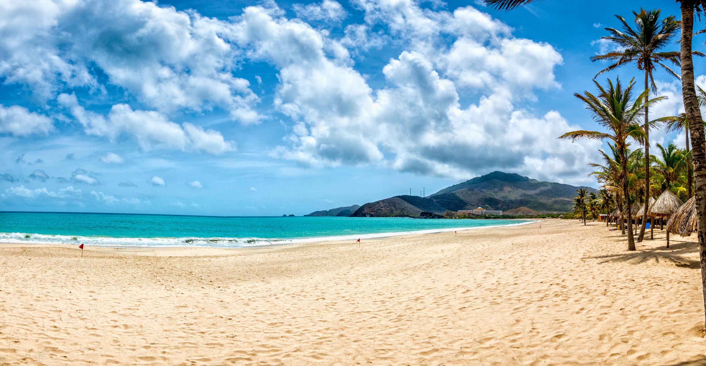 Vista panorámica de la playa tropical de arena blanca con cocoteros en el Caribe. Playa Pedro González, Isla Margarita, Venezuela