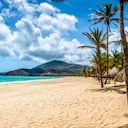 Vista panorámica de la playa tropical de arena blanca con cocoteros en el Caribe. Playa Pedro González, Isla Margarita, Venezuela