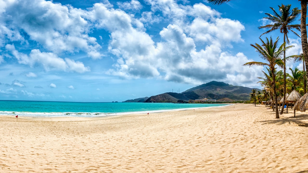 Vista panorámica de la playa tropical de arena blanca con cocoteros en el Caribe. Playa Pedro González, Isla Margarita, Venezuela