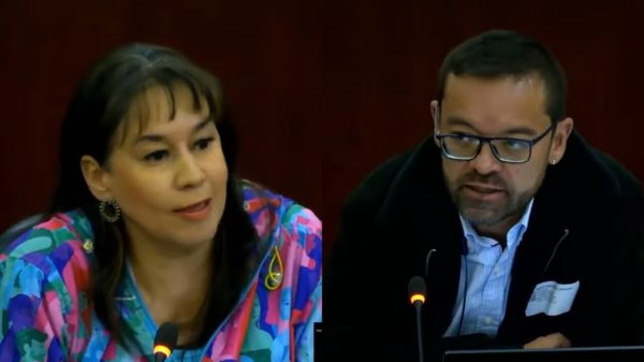 Claudia Sterling, vicepresidenta de Cruz Verde y Diego Fernando Gil, director de la Federación Colombiana de enfermedades Raras, en la Comisión Séptima de la Cámara de Representantes.