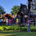 La ceiba de la libertad fue plantada en el año 1851, según cuentan los historiadores.