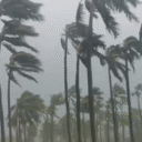 Huracán Iota: “Estamos incomunicados y con miedo”, turista en San Andrés