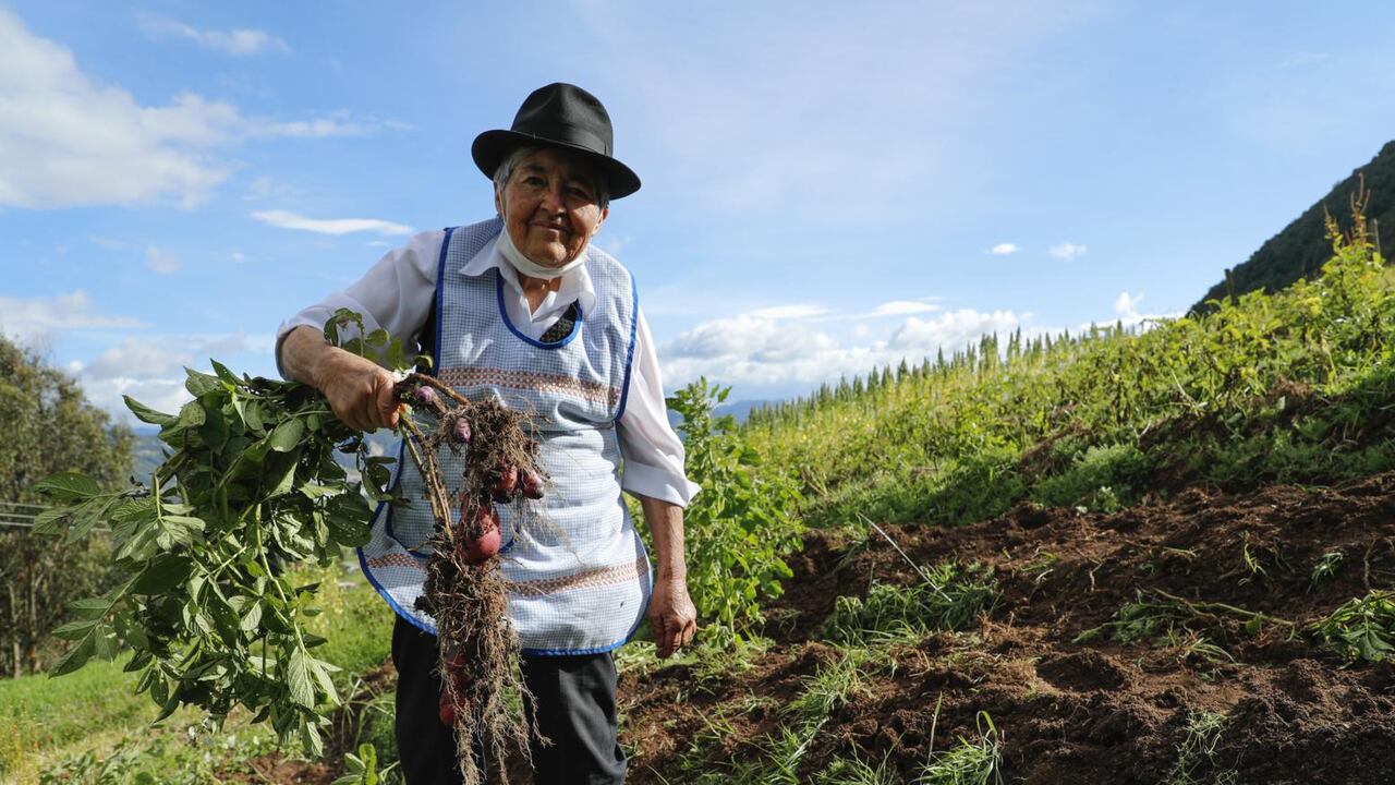 Algunas de las propuestas de las tres investigadoras que detallaron recientemente el crecimiento de la población adulta en Colombia detallan políticas para promover el envejecimiento saludable en el país.