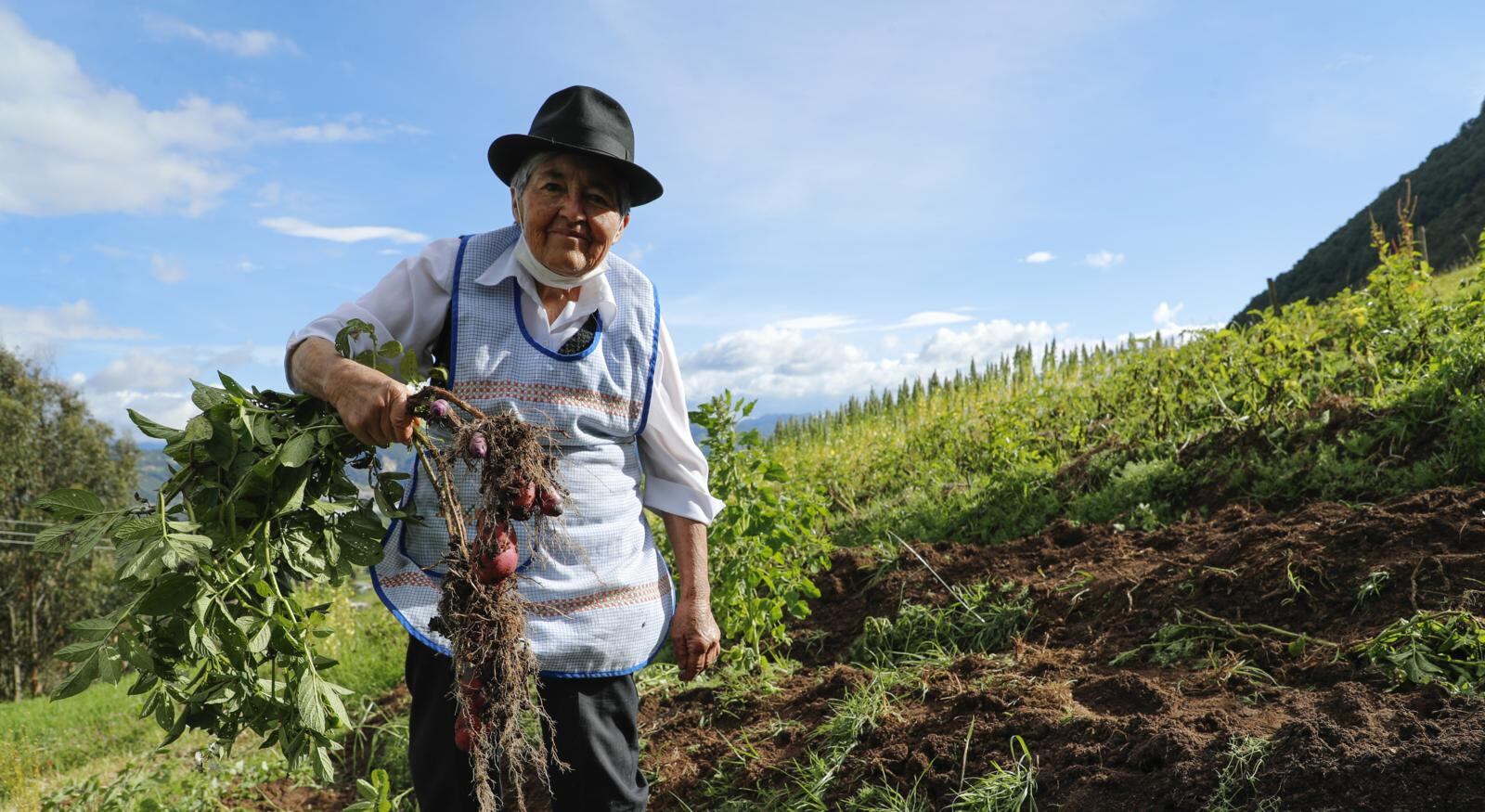 Algunas de las propuestas de las tres investigadoras que detallaron recientemente el crecimiento de la población adulta en Colombia detallan políticas para promover el envejecimiento saludable en el país.