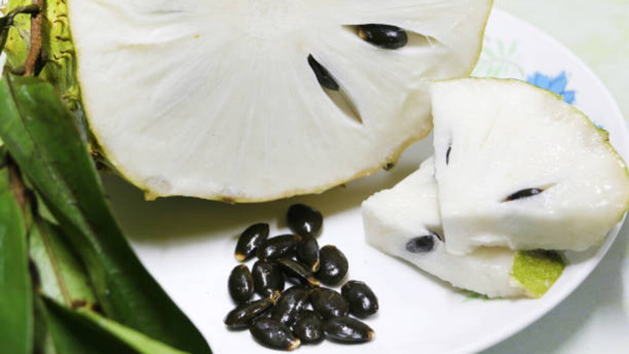 El consumo del té debe ser orientado por el fisioterapeuta o nutricionista.