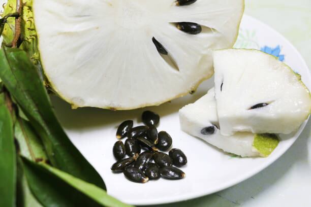 El consumo del té debe ser orientado por el fisioterapeuta o nutricionista.