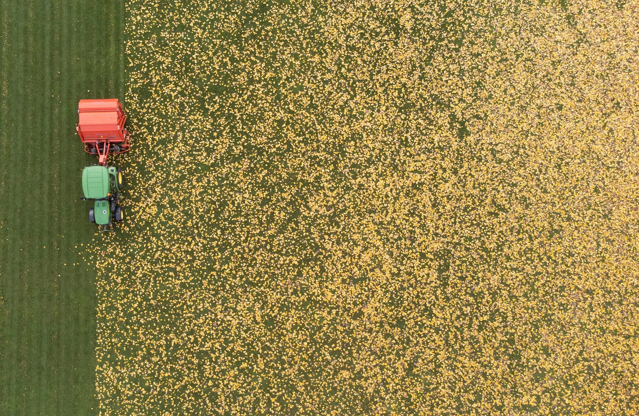 Espectaculares colores de otoño en todo el mundo.