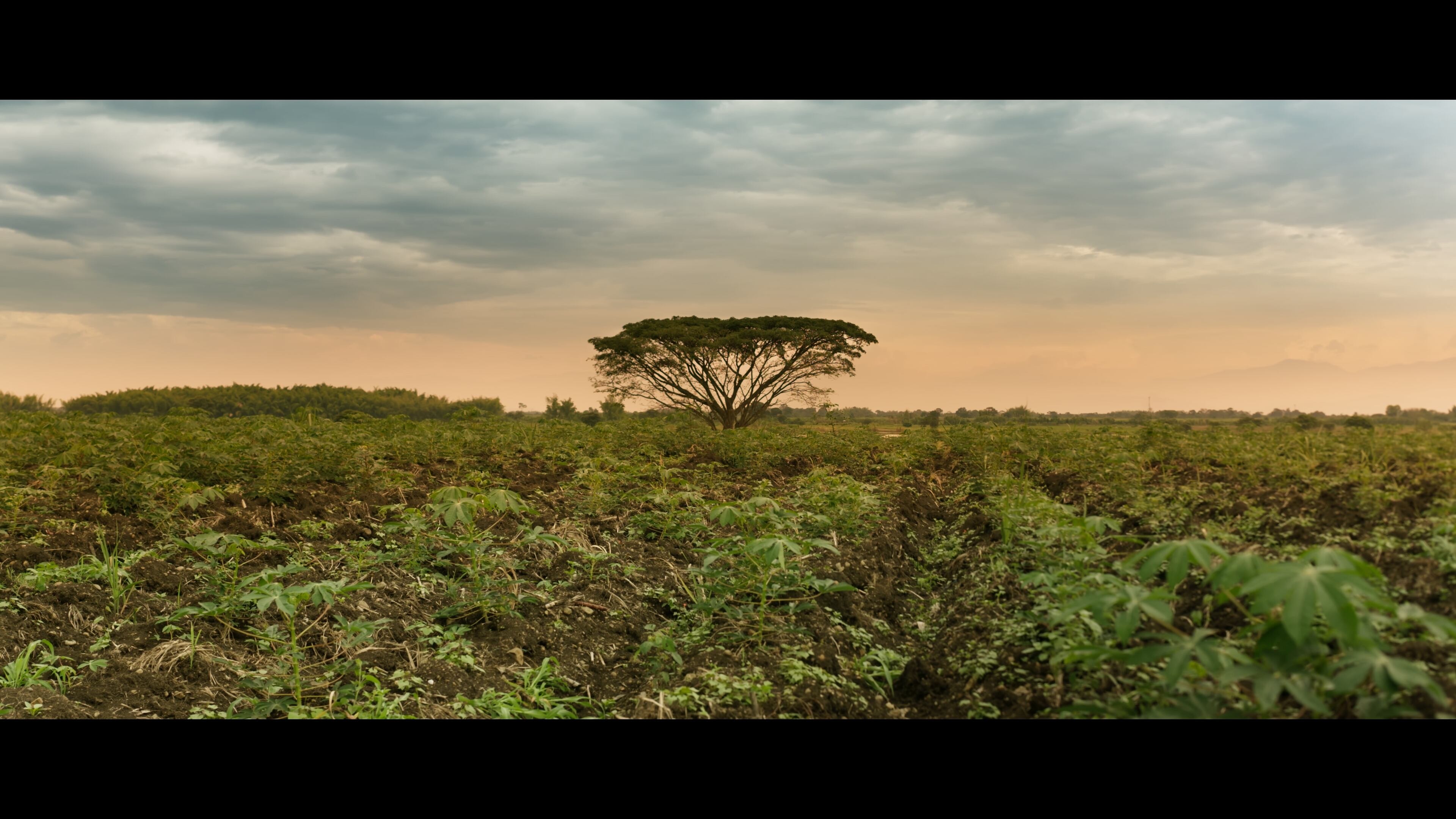 ‘Soñé su nombre’ de Ángela Carabalí. Foto: