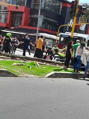 El árbol cayó en plena calle 94 con carrera 13
