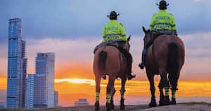 Los caballos han sido utilizados tradicionalmente por la Policía para hacer patrullajes en las zonas rurales. Foto: Cortesía Policía Nacional. 