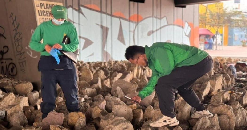 El Distrito desmintió que se trate de una fosa común de perros