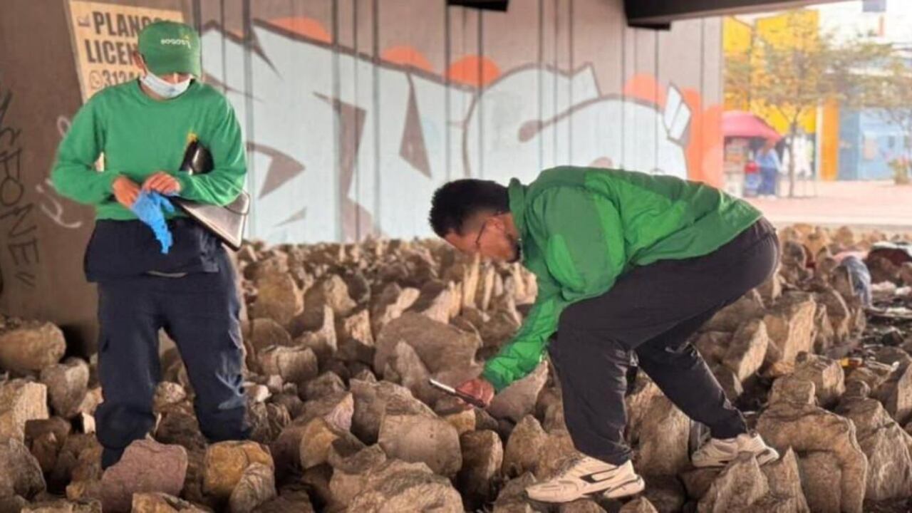 El hallazgo de varios cráneos y huesos de animales fue reportado en el sector de Puente Aranda.