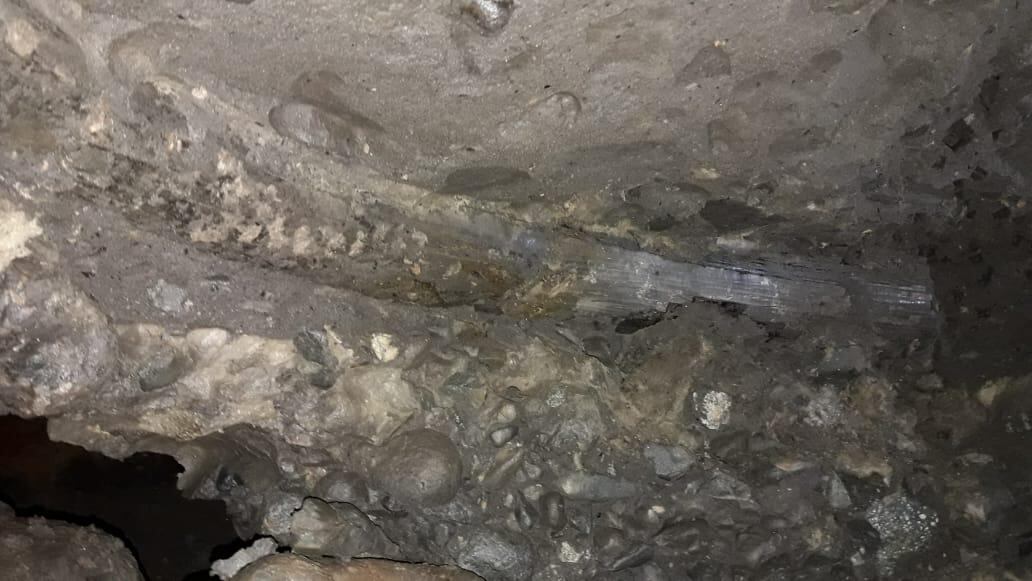 El colmillo del Mastodonte en el socavón.