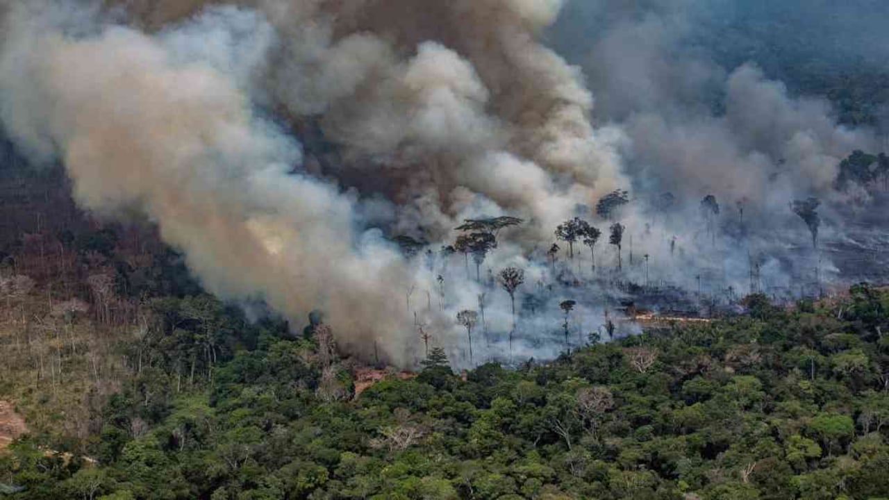 El ministro noruego les dijo a las empresas de su país en Brasil que sus procesos no contribuyan a la destrucción de la Amazonía. Foto: AFP