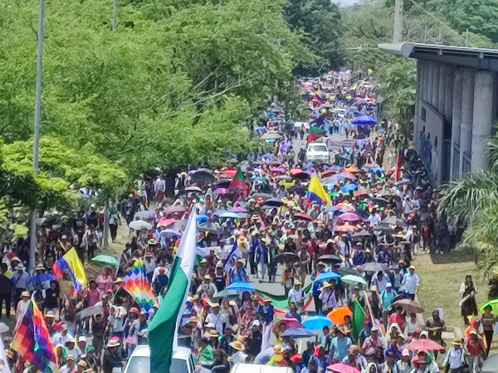 La Minga Indígena marchó hoy en  Cali