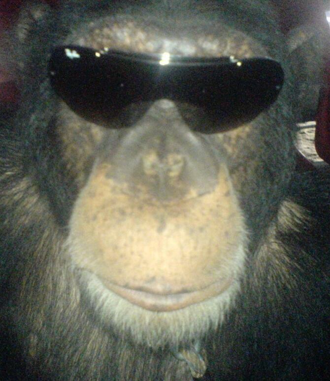 El famoso cirquero fue el dueño y criador de Pancho; luego lo donó al zoológico de Pereira.