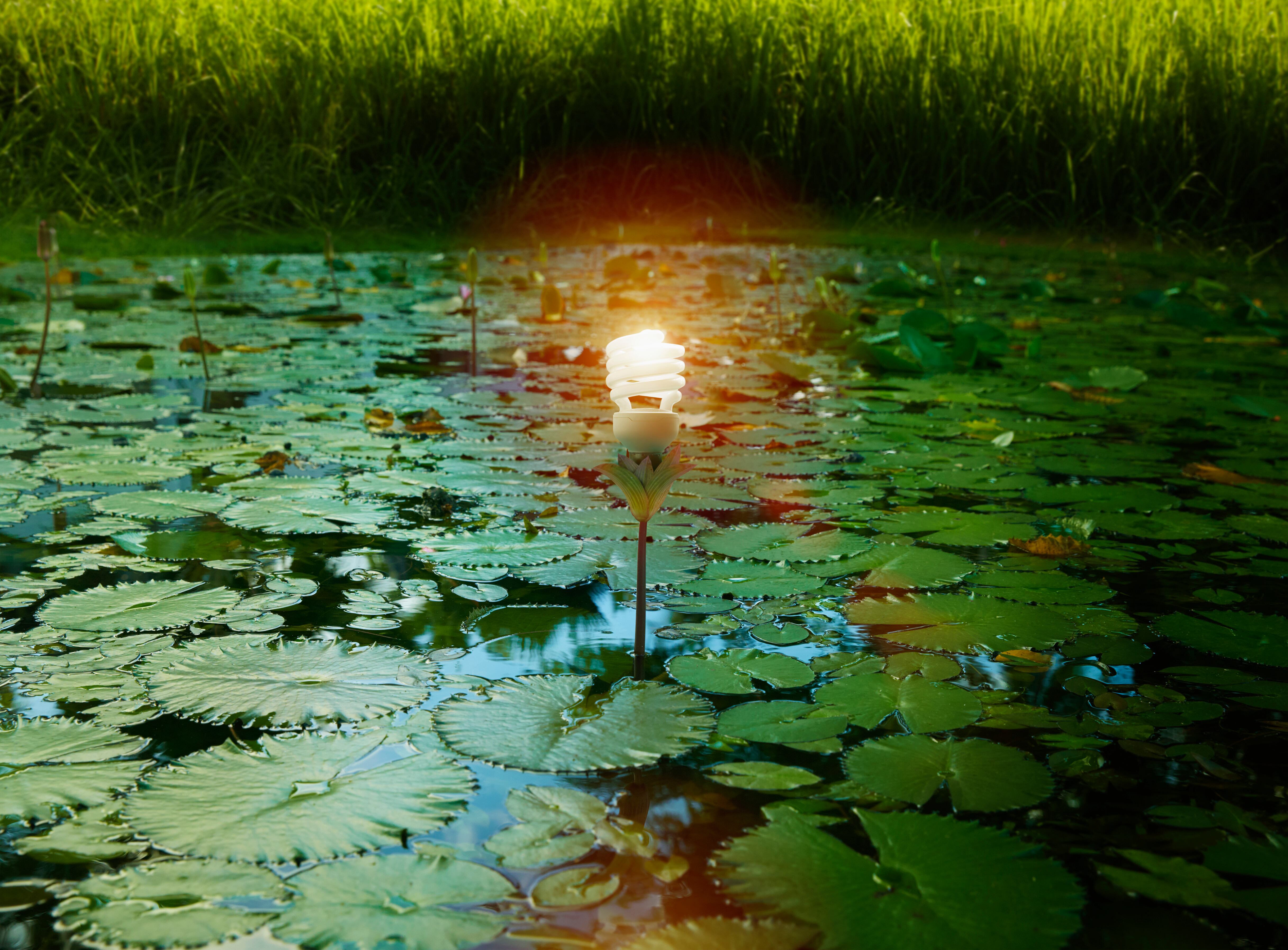 Transición Energética