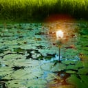 En total Colombia espera invertir más de 30 millones de dólares para impulsar esta meta ambiental.