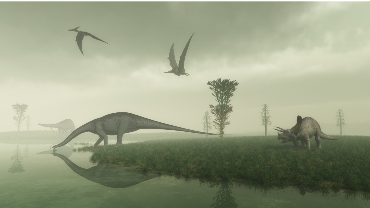 Encuentran una nueva especie de dinosaurio, el Spinosaurus mirabilis.