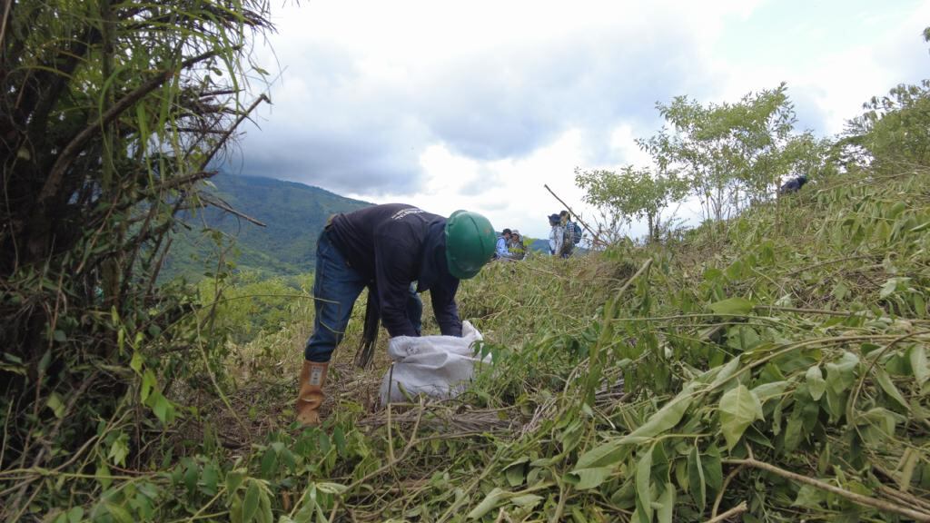 Estrategias para preservar el medio ambiente en Cúcuta.