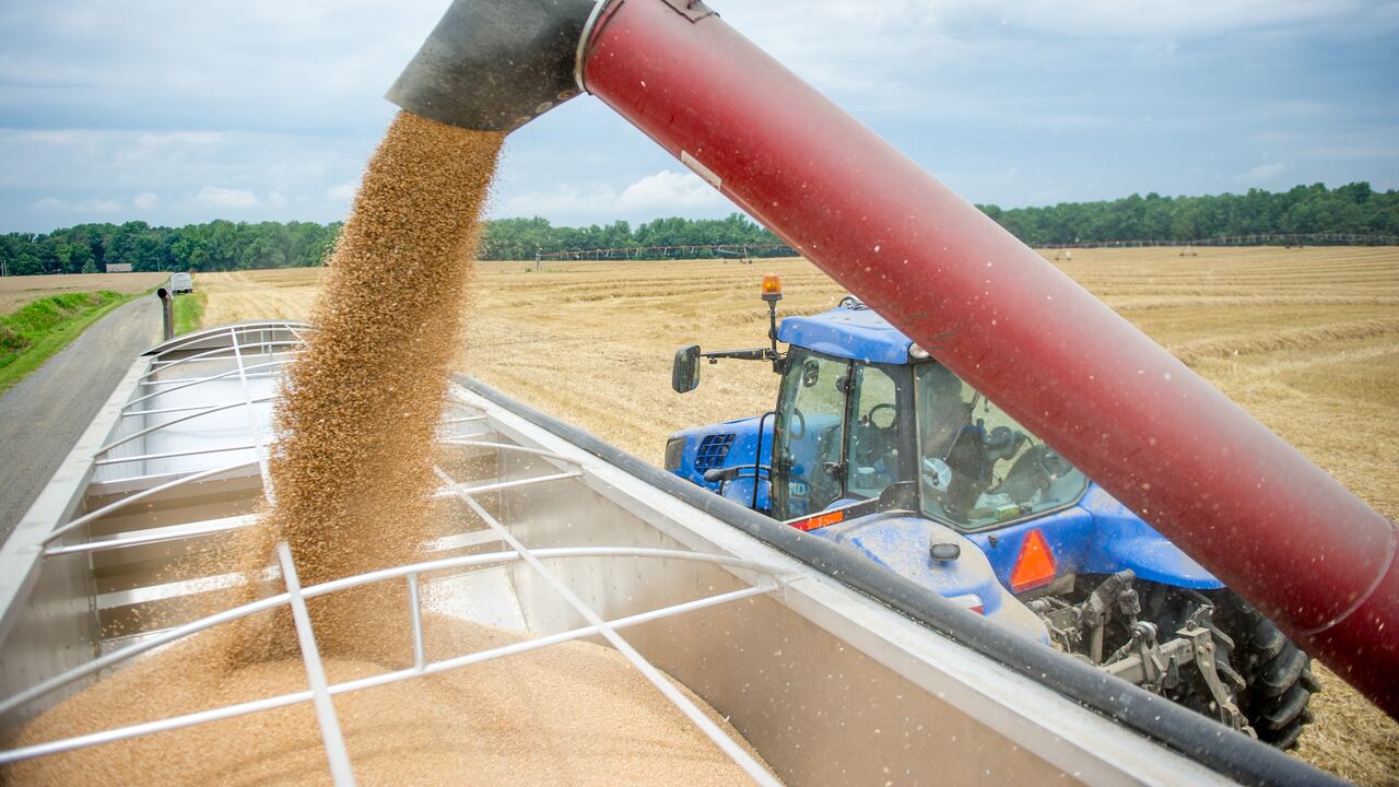 El punto máximo de incremento en el precio de los alimentos y productos derivados del agro no se sentirá sino hasta el último cuatrimestre del año.