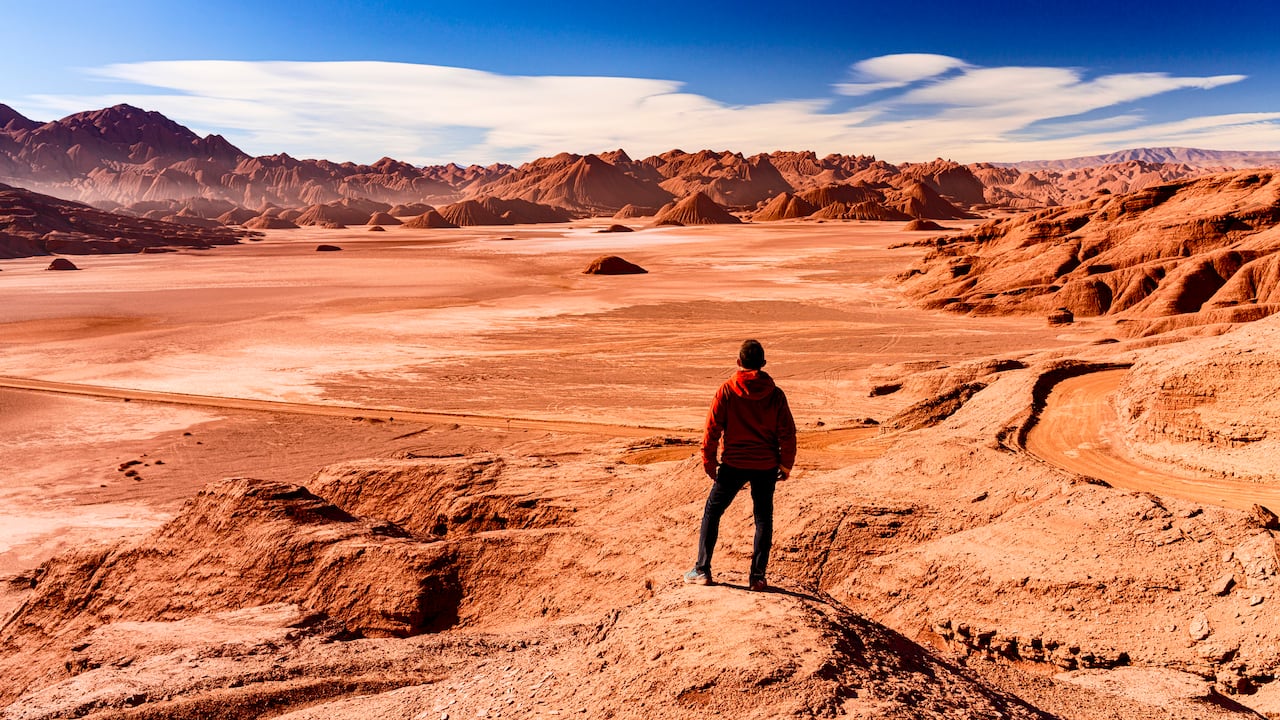 Un raro meteorito hallado en el Sahara reveló rastros de un mundo desaparecido hace miles de millones de años.