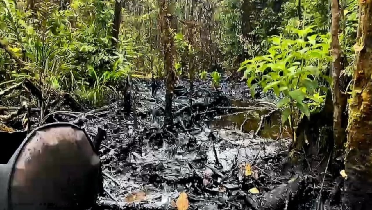 Destruyen masiva refinería ilegal de disidencias de las Farc, en zona rural de Nariño.