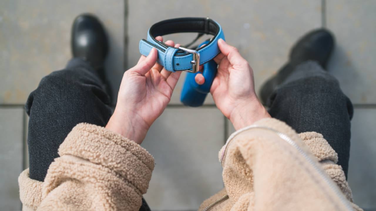 El Golden Retriever se escapó en la que iba ser la primera caminata con su nuevo dueño (imagen de referencia).