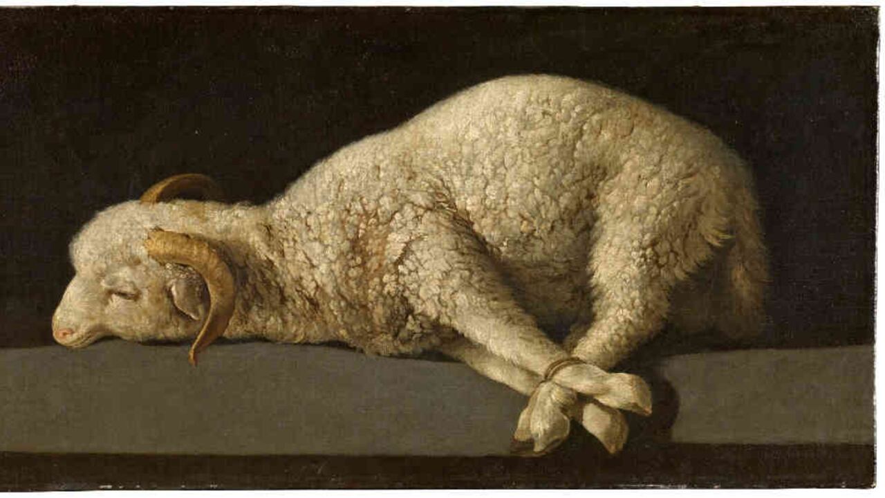 Agnus Dei, de Francisco de Zurbarán
