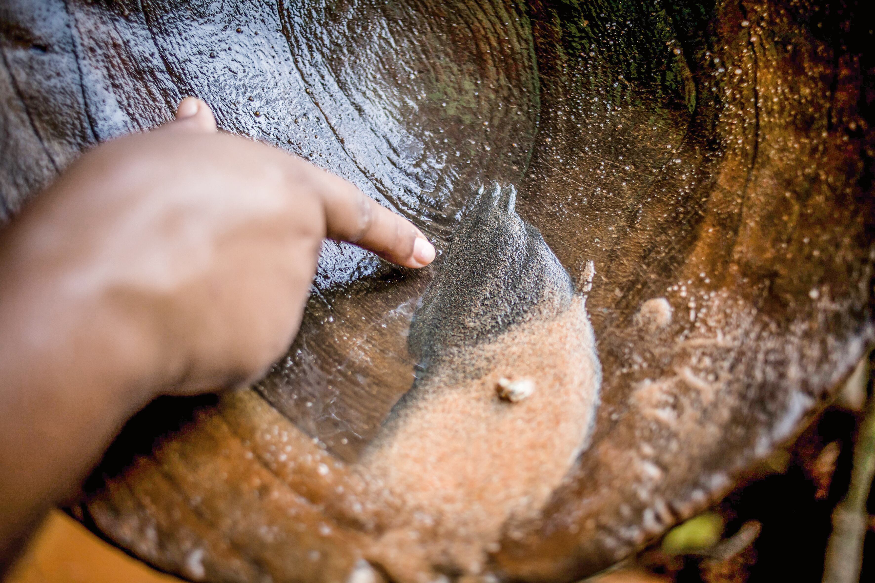 El sector minero contribuye con el 1,3 por ciento del PIB y emplea a más de 350.000 personas.