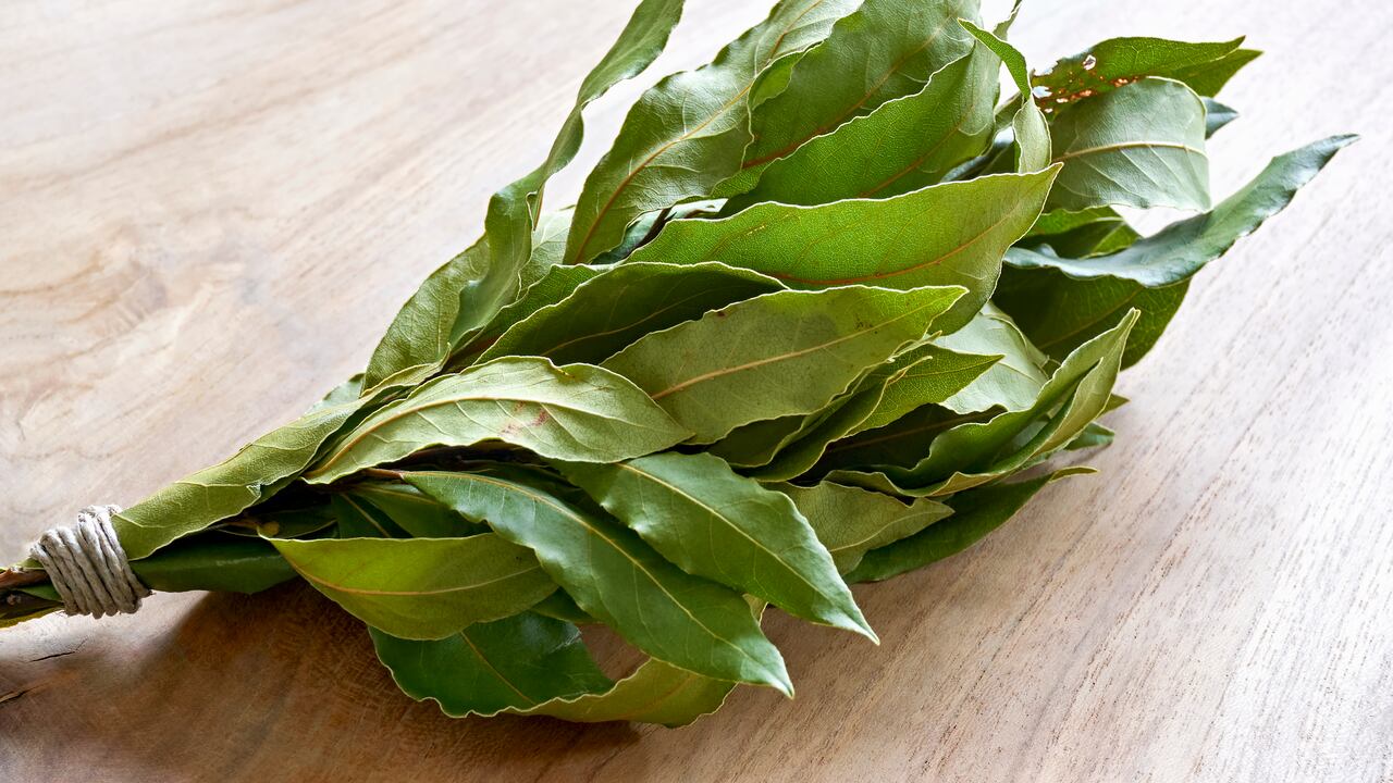 Racimo de laurel. Imagen de referencia.