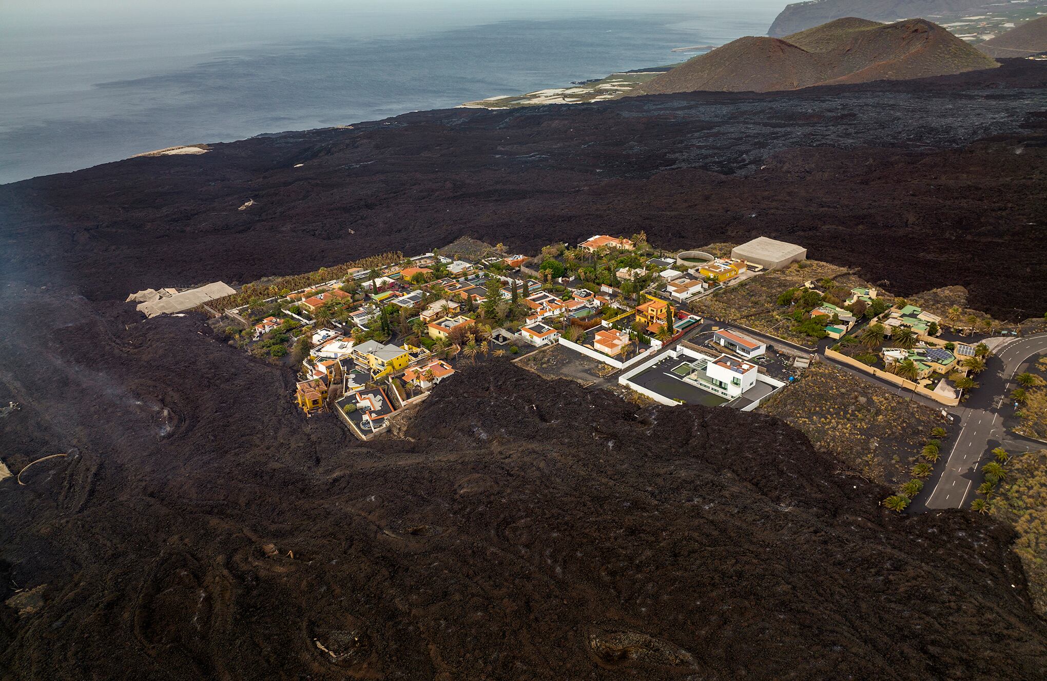 Fotos de la semana 10 dic