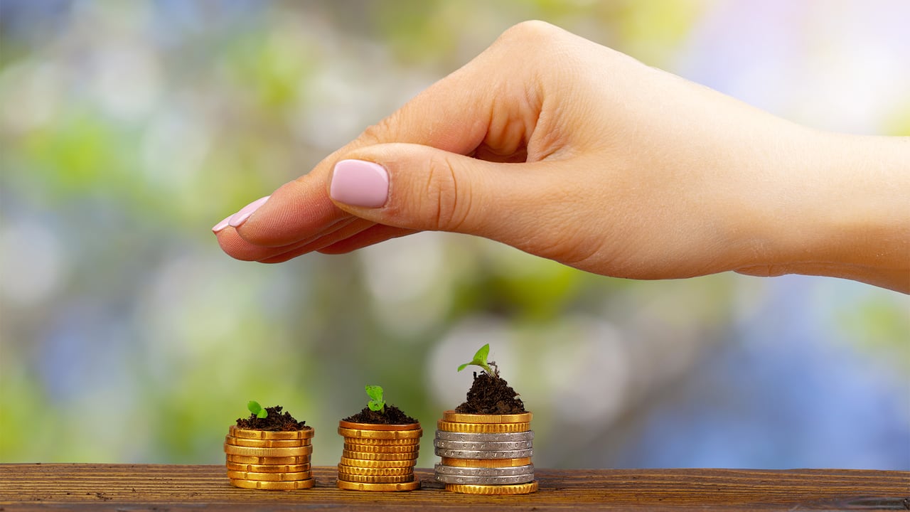 El pilar 'E' de ESG engloba el efecto que tiene la actividad de las empresas en el medioambiente, de forma directa o indirecta.