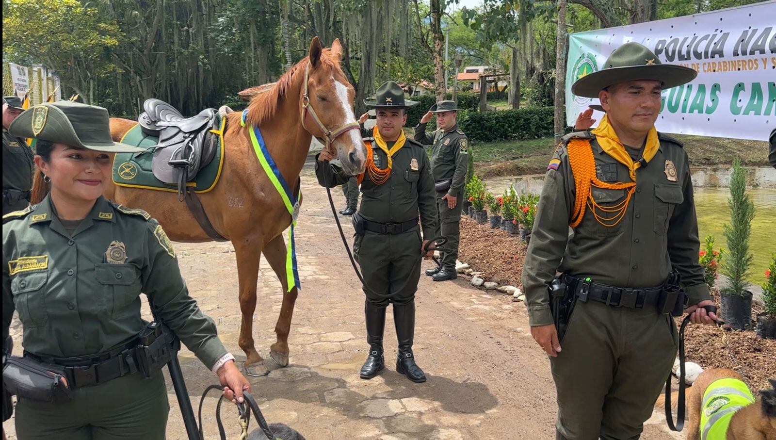 Los animales son expertos en detectar narcóticos y fauna silvestre en cautiverio.
