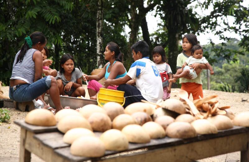  Los indígenas del Vaupes viven de la caza y la pesca. Los hombres son los encargados de estas labores y las mujeres a cuidar del hogar y cultivar la chagra, una pequeña área de cultivo solamente para la subsistencia. 