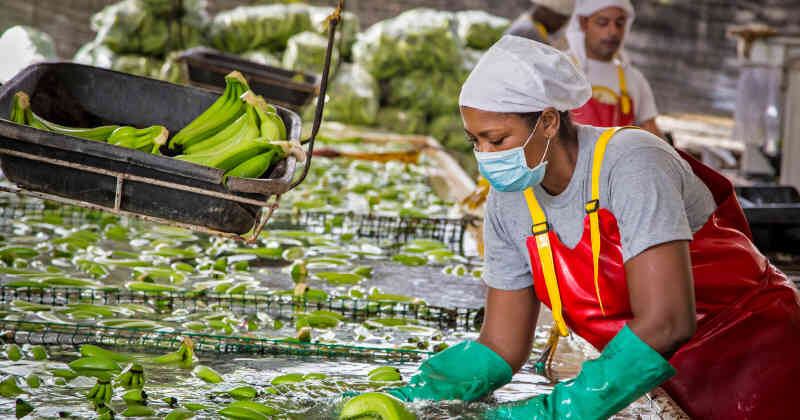 Colombia Agroalimentaria Sostenible involucra a diez gremios, dos centros de investigación internacionales, y cinco centros nacionales.