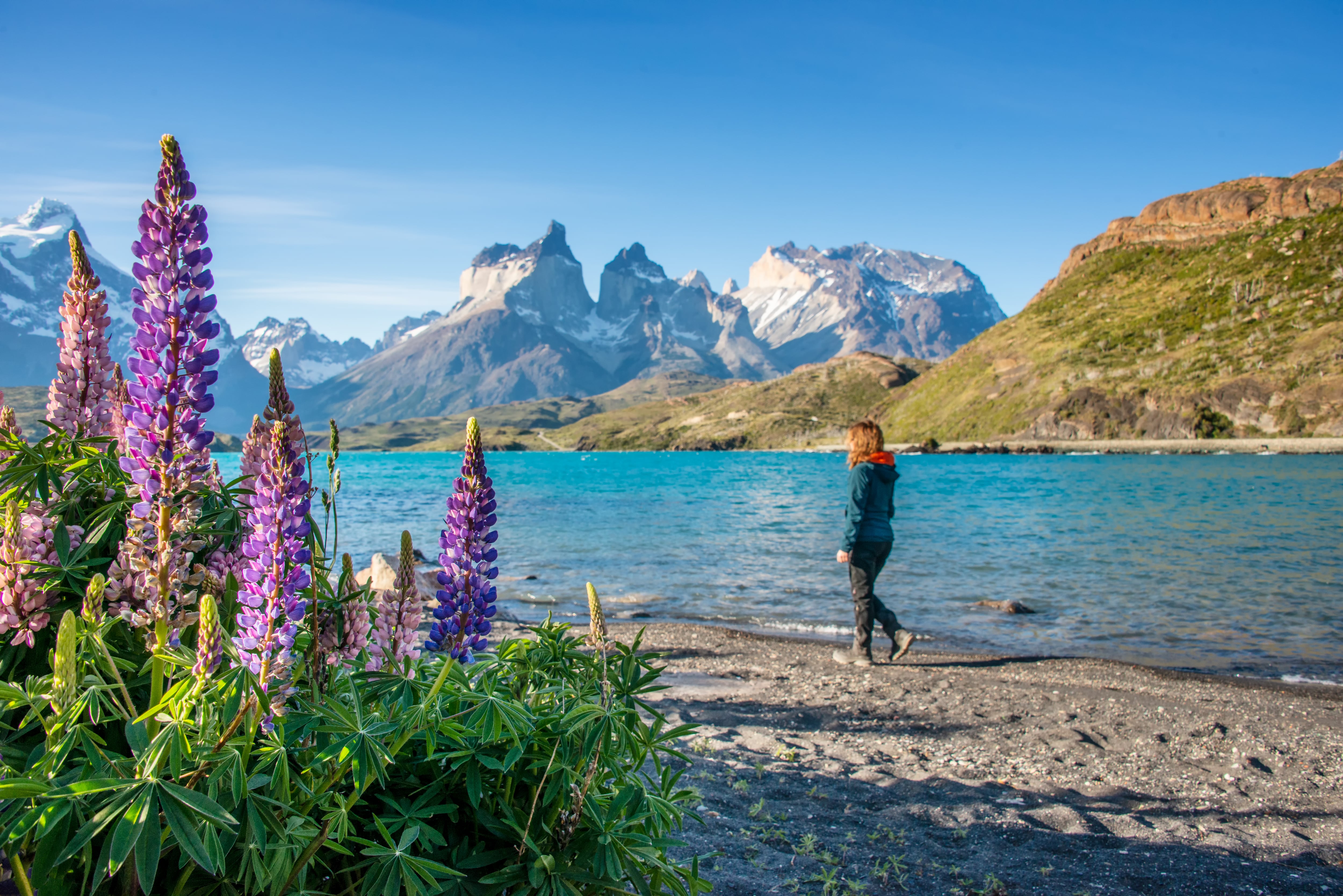 Torres del Paine, Patagonia chilena.