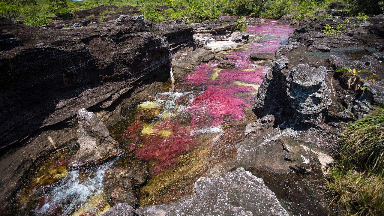 Caño Cristales