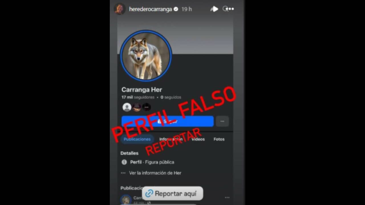 Perfil falso de Heredero