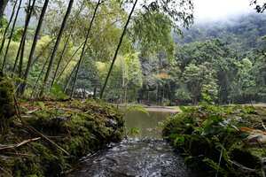 Cali: Medio ambiente, naturaleza, los Farallones, Pance, Topacio reserva natural de la CVC. foto José L Guzmán. El País