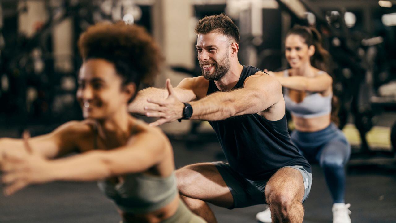 Sentadillas por día.